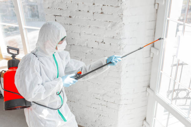 Best Forensic Mold Investigation  in Buckeye Lake, OH